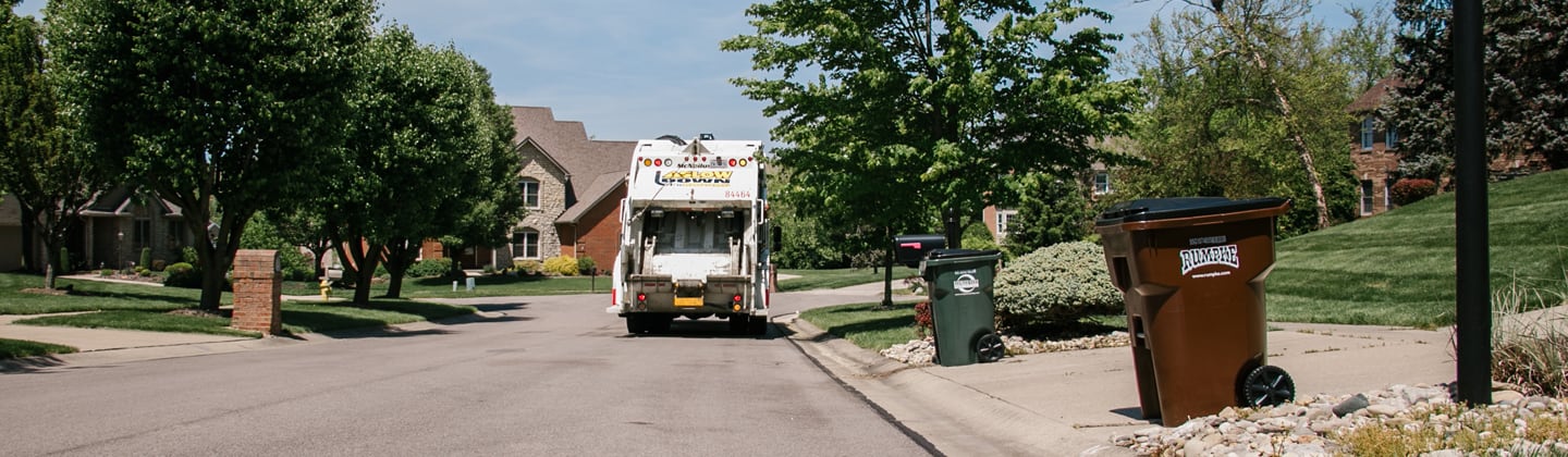 Trash and recycling carts by curbside