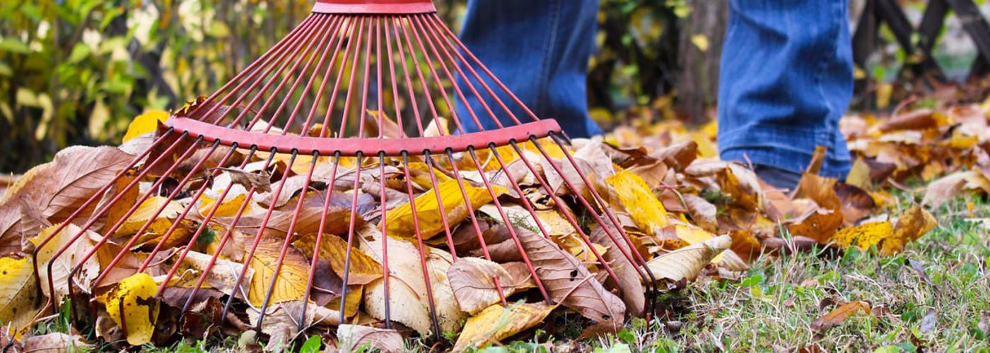 Raking Leaves For Rumpke Yard Waste Pickup